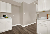 16402 Sky Blue Ln MLS-14