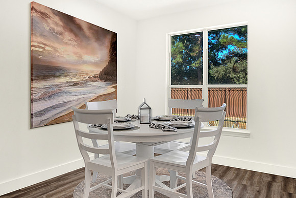 20906 Ochre Willow Trail MLS VS-3