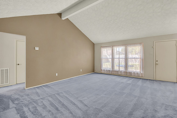 13211 Thorntree Dr MLS-6
