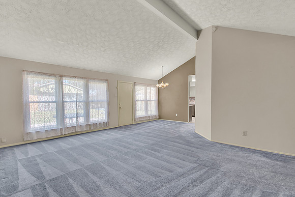 13211 Thorntree Dr MLS-8