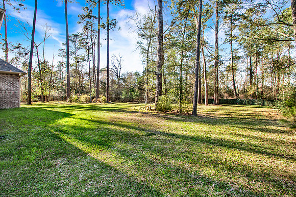 25127 W Tara Plantation Dr HR-8