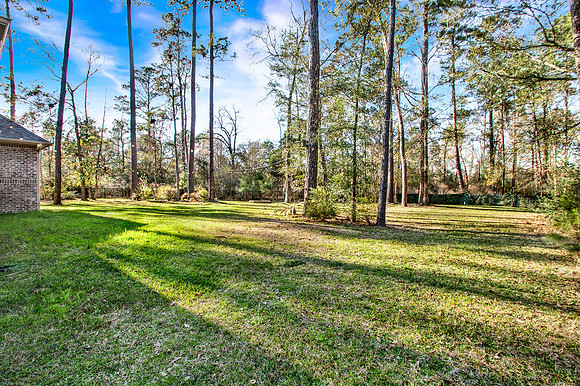 25127 W Tara Plantation Dr MLS-8