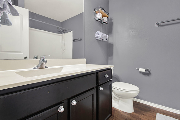 5642 Mesquite Oaks Trail MLS-29