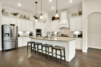 510 Blossom Cove Court MLS-12