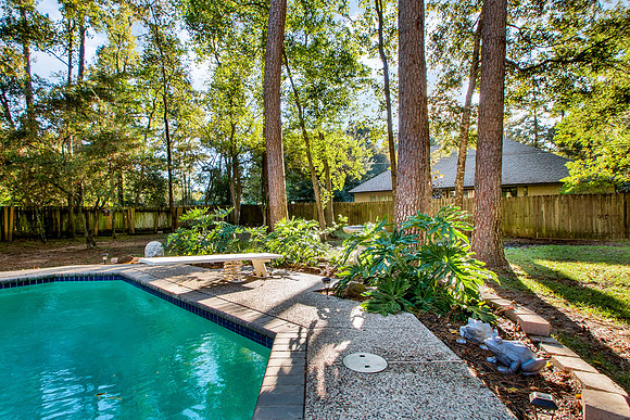 31211 Helen Ln Ext MLS-17