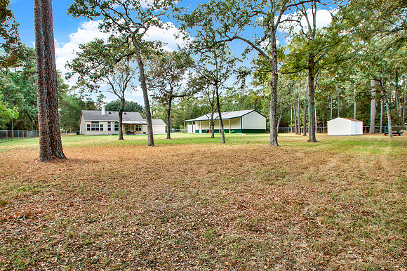 23715 Forest Trail MLS-16