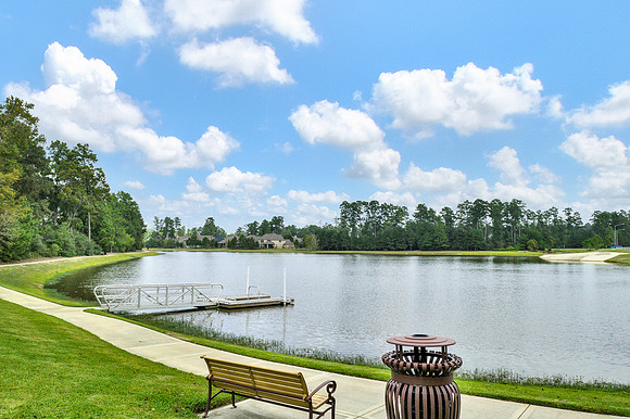 34102 Willow Bluff Ln Ext MLS-41